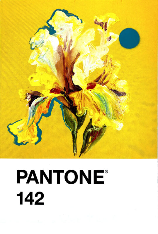 pantone 142
