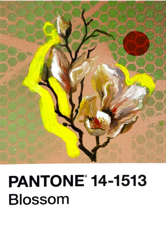 pantone 14-1513